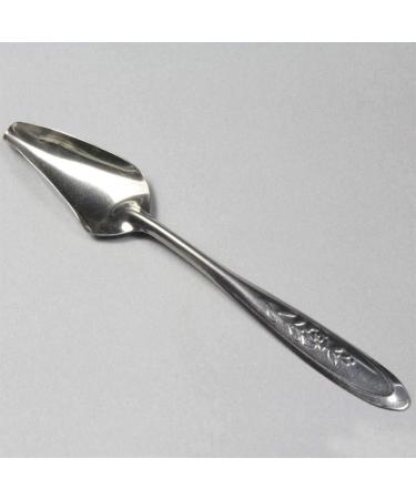 Folewr 5 Pcs Baby Bird Pointed Feeding Spoon Stainless Steel Milk Medicine Parrot Feeder for All Baby Bird Peony Cockatiel Household Pet Feeding Supplies - Buy Online on GoSupps.com