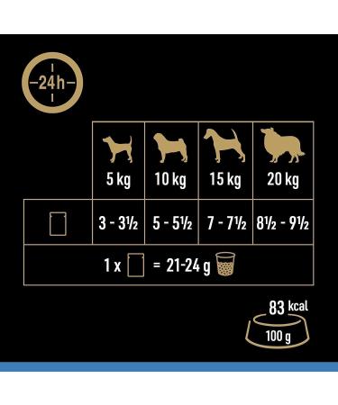 CESAR Senior 10+ Deliciously Fresh Wet Dog Food Pouches Aged Dogs Mixed Selection in Jelly Suitable for Senior Dogs Aged 10+ Pack of 4 (4 x 12 Pouches x 100 g) - Buy Online on GoSupps.com