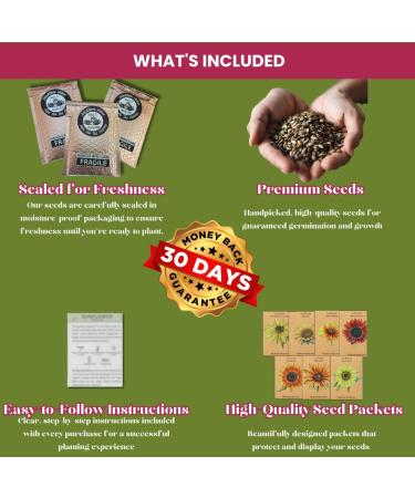 Miracle Jewelweed Salve | Natural Relief for Poison Ivy Oak Sumac & Insect Bites | Fast-Acting Itch Soother | Ideal for Outdoor Lovers | 1 oz - Buy Online on GoSupps.com