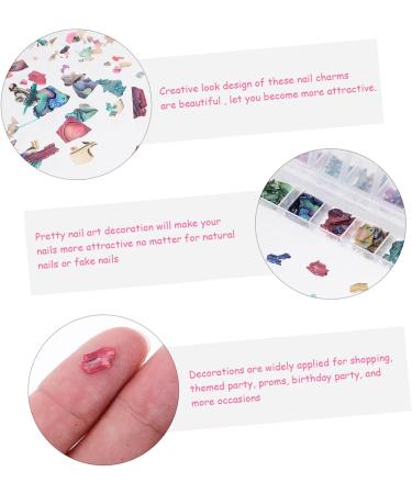 POPETPOP 1 Box Christmas Decoration Nail Jewelry Seashell Decor Manicure Charms Shell Decorations for Nail Art Christmas Charms for Nails Shell Pieces Nail Drill Accessories Boxed Miss Gem - Buy Online on GoSupps.com
