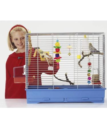 Bebester Bird Chewing Toys 8Pieces Bird Parrot Toys Bird Hanging Bell Toy Hanging Colorful Swing Chewing Toy Bells Ladder Swing for Small Parrots Macaws Parakeets Conures Cockatiels Love Birds - Buy Online on GoSupps.com