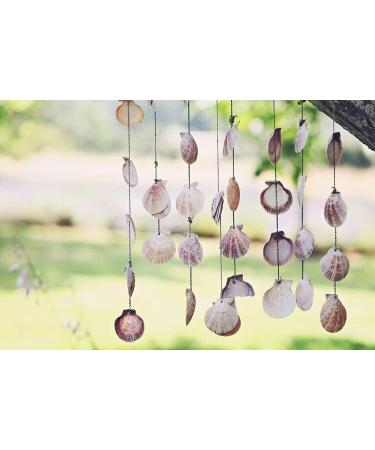8085pcs Mixed Sea Shells for Beach Theme Party Decorations & DIY Crafts - Buy Online on GoSupps.com