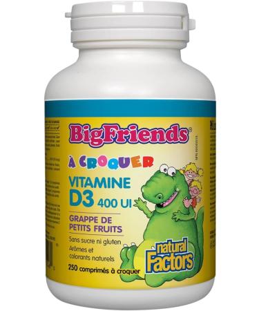 Natural Factors Big Friends Chewable Vitamin D3 400 IU Berry Bunch - 250 - Buy Online on GoSupps.com
