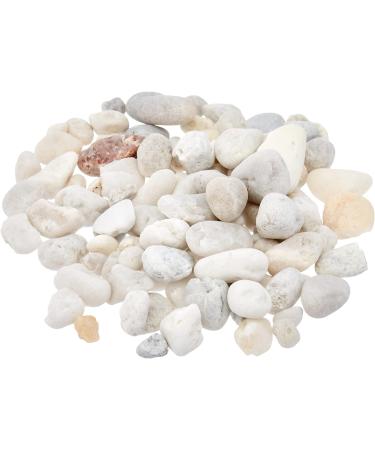 Amtra Gravel - Natural Aquarium Gravel Decorative Soil Coarse White Grains Size 4-8mm Size 1kg Packaging May Vary Gravel White 1 KG - Buy Online on GoSupps.com