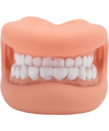 Mouth Hand Puppet - Educational Dental Care Model with Tongue for Children s Learning - Buy Online on GoSupps.com