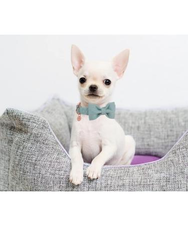 Dogwong Adjustable Dog Collar with Removable Fly Green Pet Collar for Small to Large Dogs | Perfect Gift for Girls & Young Dogs | Comfortable & Stylish (Pack of 1) - Buy Online on GoSupps.com