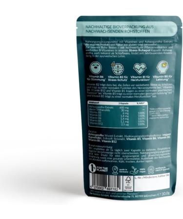 Be Tanics Stress Ruhepol - 60 Capsules for Nerve & Cell Protection | Vitamin B2 Dietary Supplement - Boost Your Wellbeing - Buy Online on GoSupps.com