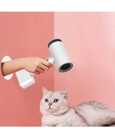 Cordless hair dryer combined with brushless motor and diffuser for fast drying quiet lightweight supplied with its own power supply suitable for travel - Buy Online on GoSupps.com