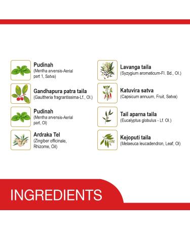 AMRUTANJAN NEW MAHA STRONG PAIN BALM 8 ML - PACK OF 6 - Buy Online on GoSupps.com