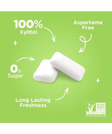 Buy PUR Sugar-Free Chewing Gum | 100% Xylitol | Vegan & Gluten-Free | Coolmint Flavor | 55 Pieces (6-Pack) - Diabetic-Friendly Natural Gum - Buy Online on GoSupps.com