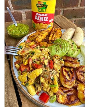 Tropical Sun Jamaican Ackees | 280G | Ackee in Salted Water | No Artificial Colours | No Preservatives | Water and Salt | True fruit of Jamaica | Suitable for Vegan | Jamica Origin (Pack of 4) - Buy Online on GoSupps.com