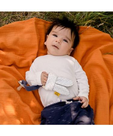 Fehn 052145 Donkey Ears Pacifier Band - Wooden Ring for Babies & Toddlers | Ideal for Home & Travel | Compatible with Standard Pacifiers - Buy Online on GoSupps.com