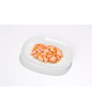 Almo Nature HFC Natural Wet Cat Food - Salmon & Pumpkin (24 x 55g) | Premium Grain-Free Cat Diet - Buy Online on GoSupps.com