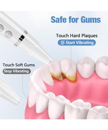 Wagner Stern Teeth Whitening Kit: 5 Modes Plaque Remover for Teeth Stain Removal - Dental Plaque Tool with 2 Heads - Buy Online on GoSupps.com