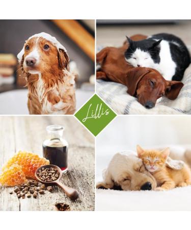 Lillis Naturals Dog Shampoo with Natural Herbs - 500ml for Skin & Coat Care | International Shipping - Buy Online on GoSupps.com