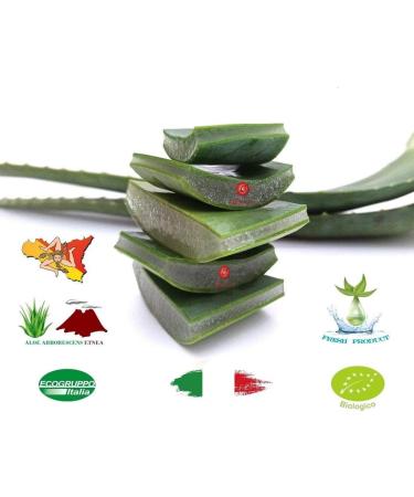 Fresh Aloe Arborescens ETNEA Leaves 1 kg whole with 500 g jar of honey for recipe preparation Padre Zago Organic product production Sicily Sicily Italy - Buy Online on GoSupps.com