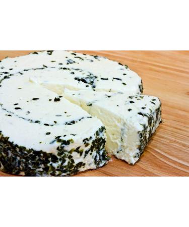 Cultures for Health Cream Cheese Starter Culture - Tangy Homemade Cream Cheese | Non-GMO, Gluten-Free | Perfect for Cakes and Frosting - Buy Online on GoSupps.com