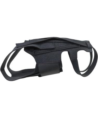 Dog Back Support Ease Discomfort and Aid Healing Supporting Vest for Walking Supportive Dog Back Bracer No Pull Assist Dog Back Bracer Small - Buy Online on GoSupps.com
