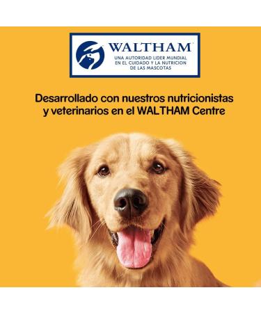 Pedigree Tasty Mini Snack to Educate Your Chicken Dog and Duck Flavour of Your Dog (Pack of 6 x 130 g) - Buy Online on GoSupps.com