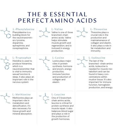 BodyHealth PerfectAmino XP Mixed Berry (120 Servings) Best Pre/Post Workout Recovery Drink  8 Essential Amino Acids Energy Supplement with 50% BCAAs  100% Organic  99% Utilization - Buy Online on GoSupps.com