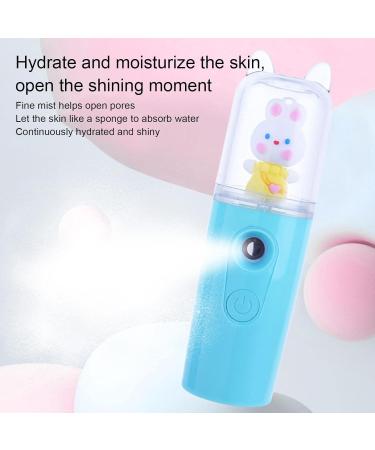 Face Mister - Handy Handheld Portable Facial Nanoes Mister Sprayer - Eyelash Aftercare Tool - Rechargeable Face Steamer for Lash Salon Make-Up & Skincare Treatments Proidl Blue - Buy Online on GoSupps.com