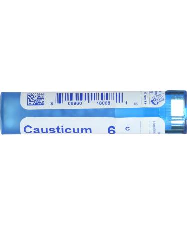 BOIRON Causticum 6 C - Homeopathic Remedy 80 CT | Fast International Shipping - Buy Online on GoSupps.com