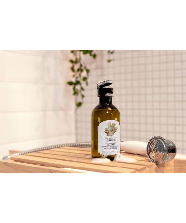 The Body Shop Ginger Shampoo 250ml - Pack of 1 - Buy Online on GoSupps.com