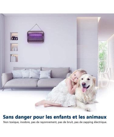 Mosquito Killer Electric Indoor Din Mouches 6W Effective Distance 100m Mosquito Killer GGL Has a Non-Toxic Effect - Buy Online on GoSupps.com