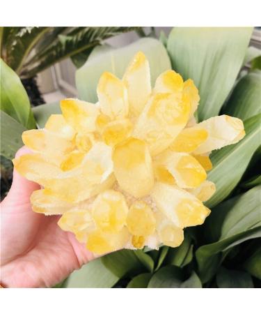 Natural Crystal Rough Home Decoration Natural Citrine Phantom Quartz Crystal Cluster Specimen Stones (Size : 600-700g)