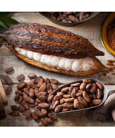 Fresh Cacao Exotic Fruit from St Lucia | Cacao Pod/Chocolate Fruit | 1kg - Buy Online on GoSupps.com