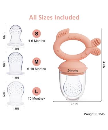 Dilovely Baby Fruit Feeder: Silicone Teething Pacifier with 3 Sizes Pouches - BPA Free Mesh Feeder for Infants (2 Pack) - Buy Online on GoSupps.com