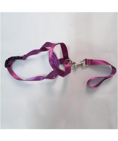 Universal Selected Harness Adjustable Muzzle Dog Halter Leader Belt Dog Collar Head Collar No Pull Bite Straps Training Leash Leader (Color : Purple Size : XL) - Buy Online on GoSupps.com