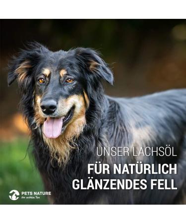 Pets Nature Salmon Oil for Dogs Cats & Horses - 1L Premium Omega 3 & 6 Fish Oil - Buy Online on GoSupps.com