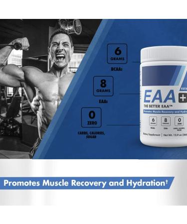 Modern's EAA+ Watermelon: Essential Amino Acid Powder for Muscle Recovery | 8g EAAs, 6g BCAAs, Sugar Free | Post Workout Hydration Drink for Men & Women - 30 Servings (12.9oz) - Buy Online on GoSupps.com