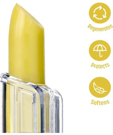 BELWEDER Protective Lip Balm with Lemon Balm Propolis Extract - Protection Hydration and Regeneration of Lips - Transparent Lip Balm For Men and Women - 3.5 g Stick - Buy Online on GoSupps.com