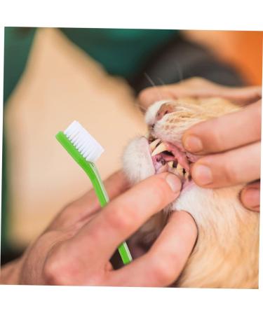 HANABASS 8pcs Double Head Dog Toothbrush Cat Care Pet Toothpaste Pet Oral Health Dual-head Brush Pp 1 count (Pack of 1) As Shown - Buy Online on GoSupps.com