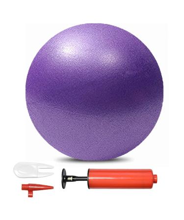 Pilates Exercise Ball Mini 6 Inch Yoga Barre Small Bender Workout Fitness Balance Physical Therapy Squishy Balls,Improves Stability Core Training Equipment for Home with Pump Purple 6 Inch