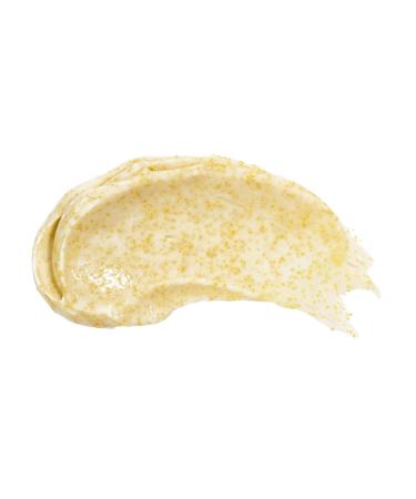 Beekman 1802 Oat + Goat Milk Exfoliating Face Scrub - Gentle Cleansing With Jojoba Bead Facial Exfoliator - Travel Friendly Sensitive Skin Face Cleanser - Fragrance Free 3 Fl Oz (Pack of 1) - Buy Online on GoSupps.com