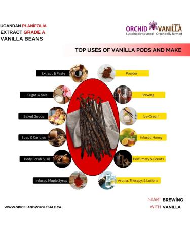 Ugandan Extract Grade-B Vanilla Beans For Extract Making By Count (5 Beans (Pack of 1)) - Buy Online on GoSupps.com