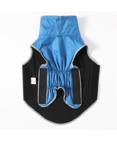 PLUS PO Dog Raincoat - Waterproof Small Dog Full Raincoat in Blue | Perfect for Rainy Days - International Shipping Available - Buy Online on GoSupps.com
