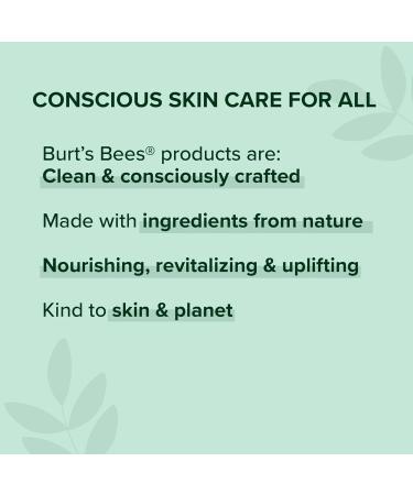 Burt's Bees Ultra Conditioning Lip Balm with Kokum Butter - 12 Pack | Moisturizing & Nourishing | International Shipping Available - Buy Online on GoSupps.com