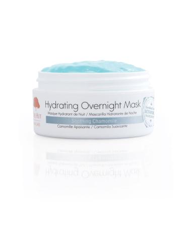 Tree Hut Skincare Hydrating Overnight Mask - Soothing Chamomile 2oz | Best Hydrating Face Mask for Night Repair - Shop Internationally - Buy Online on GoSupps.com