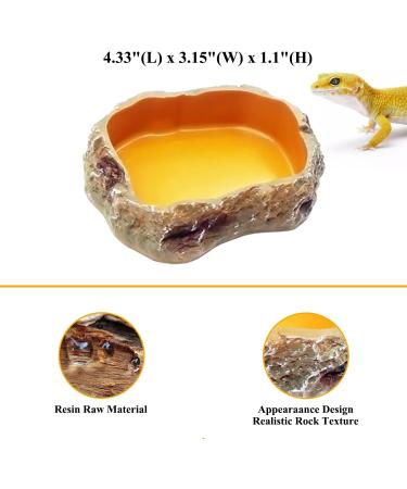 Reptile Growth 4 Pieces Reptile Water Dish Food Bowl Set includes 2 Food Feeder Bowl Resin Reptile Bowl Water Bowl 2 Feeding Tweezer Reptile Rock Feeder for Tortoise Lizard Frog Gecko Snake Chameleon - Buy Online on GoSupps.com