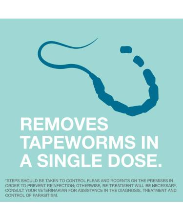 Elanco Tapeworm Dewormer for Cats - 3 Praziquantel Tablets | Effective Treatment for Kittens 6 Weeks+ - Buy Online on GoSupps.com