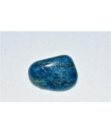 Balance Blue Apatite Tumbled Stone One Natural Quartz Reiki Crystal Lucky Stone Crystal Home Goods - Buy Online on GoSupps.com