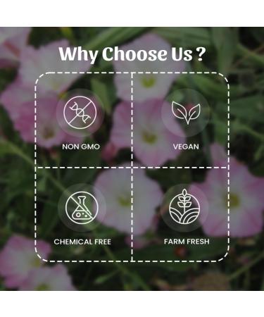 Neel Ayurvedics Shankhpushpi Shankhini Powder 300 GM - Buy Online on GoSupps.com