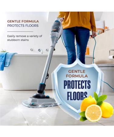 Powerful Decontamination Floor Cleaner High-Performance Germicidal Deodorizing Cleaner All-Purpose Floor Cleaner for All Floors (2pcs) - Buy Online on GoSupps.com