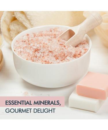 Pride Of India - Pure Himalayan Pink Salt - Enriched w/ 84+ Natural Minerals Medium Grind 2.2 Pound (35.2oz) Jar - Himalayan Salt Himalayan Pink Salt Pink Himalayan Salt Grind Salt Pure Rock Salt - Buy Online on GoSupps.com