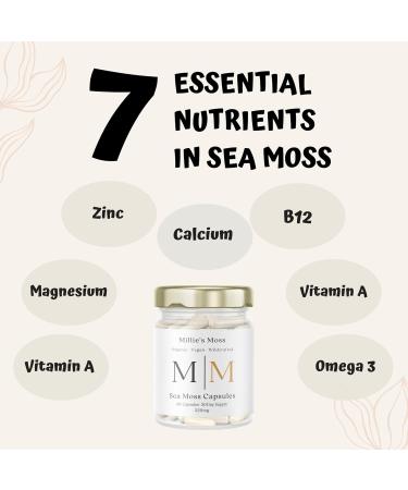 MORG Organic Sea Moss Capsules - 60 Vegan Friendly Capsules for Thyroid Support - Caribbean Sourced Raw Sea Moss Powder - Immune Boost with Bladderwrack - Buy Now! - Buy Online on GoSupps.com