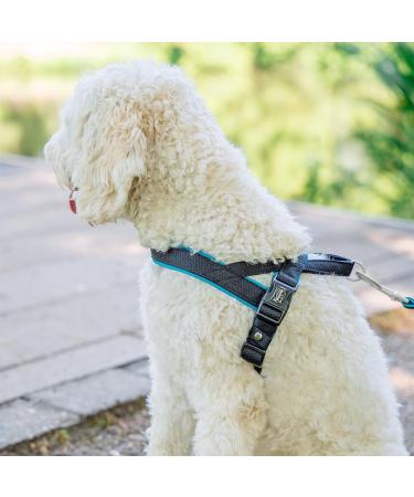 Buy Nobby Norwegian Mesh Preno Harness - Turquoise Size L (50-64 cm) | International Shipping - Buy Online on GoSupps.com